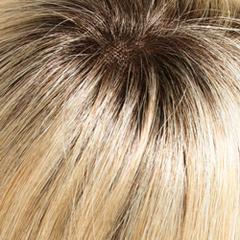 2216S8 light ash blonde w/ light blonde highlights & rooted medium brown