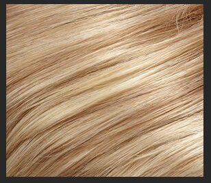 24B22 light golden blonde & light ash blonde blend