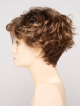 GOLDEN NUTMEG ROOTED