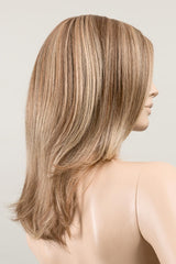 LIGHT BERNSTEIN ROOTED
