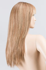 LIGHT BERNSTEIN ROOTED