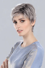 METALLIC GREY ROOTED