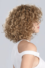 LIGHT BERNSTEIN ROOTED