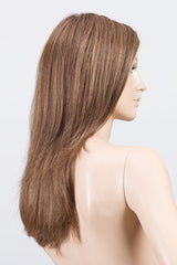 CHOCOLATE ROOTED