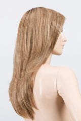 LIGHT BERNSTEIN ROOTED