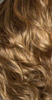 GL14-16SS honey toast rooted