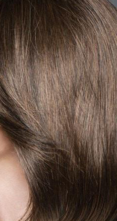 GL8-10 dark chestnut