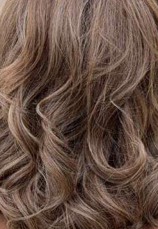 macadamia latte rooted