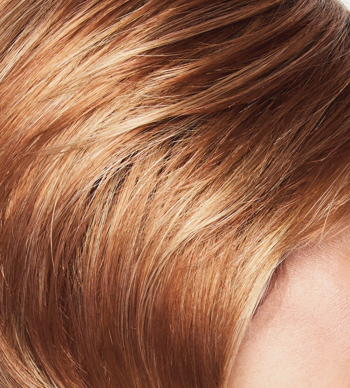 rl29/33ss iced pumpkin spice