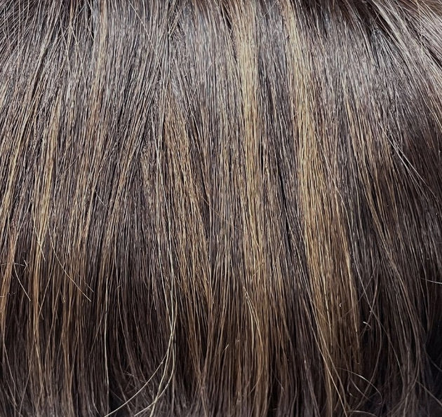 triple chocolate rooted