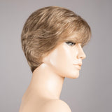 cara 100 deluxe